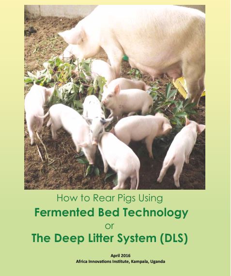 Deep Litter System for Pig Farming