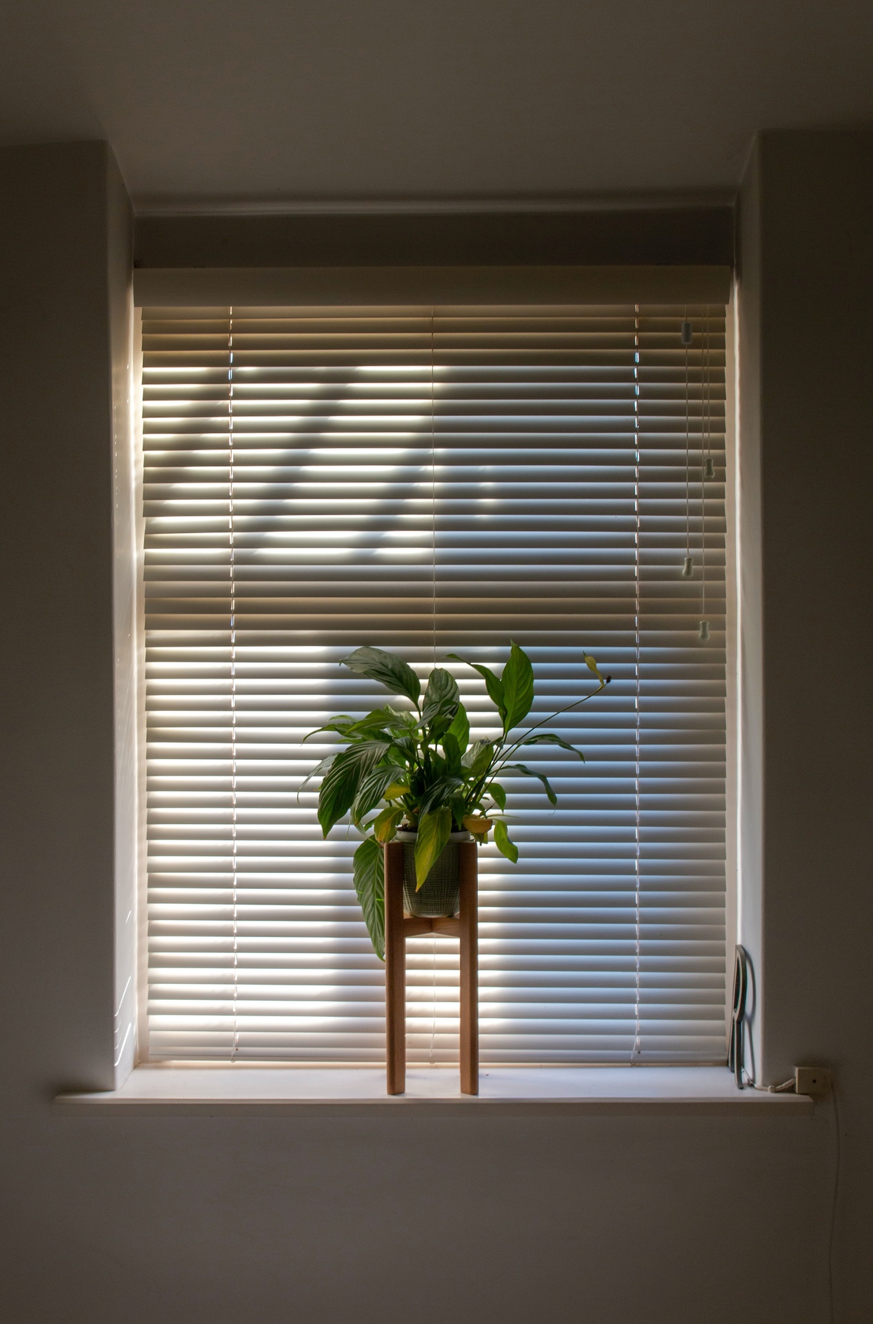How Do Window Blinds Work?